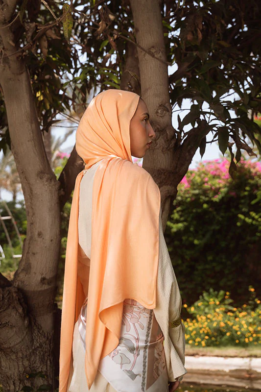 Apricot Elegance - Image 5